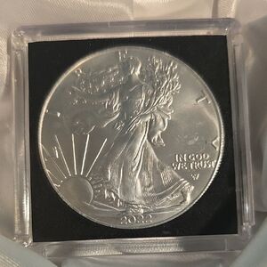 American Eagle Silver Coin in Display Case
